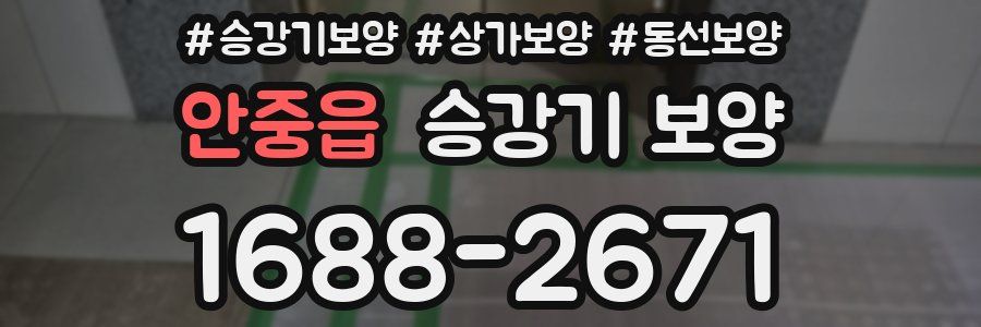 안중읍 승강기 보양