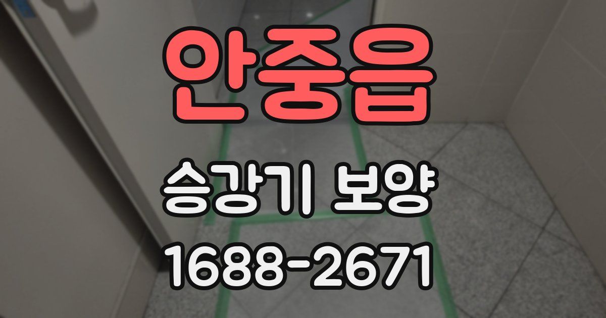 안중읍 승강기 보양
