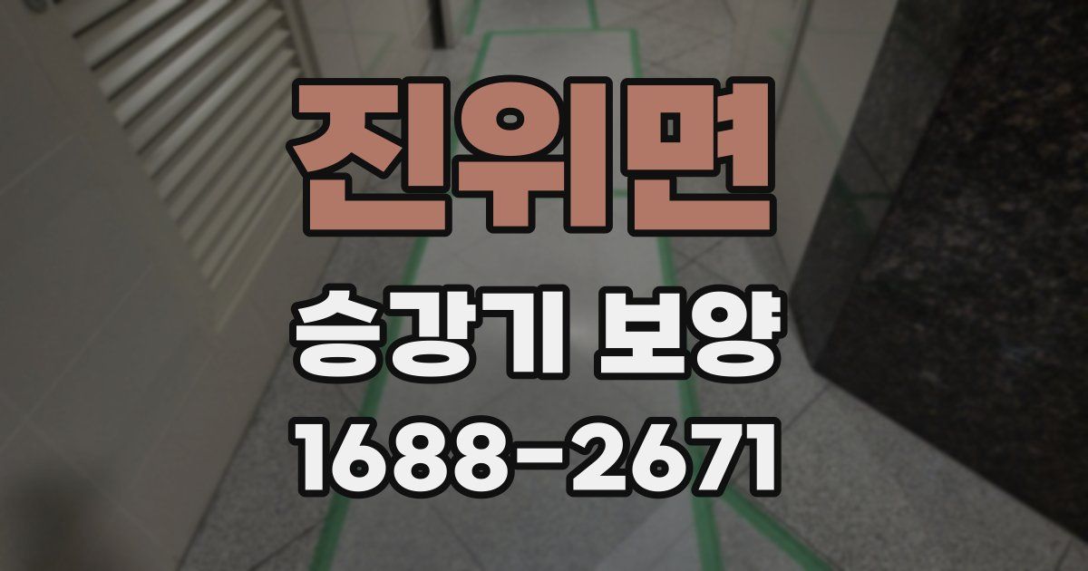 진위면 승강기 보양