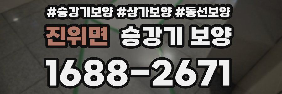 진위면 승강기 보양