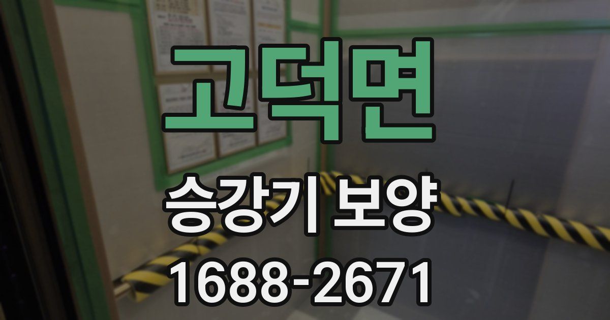 고덕면 승강기 보양