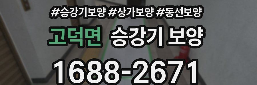 고덕면 승강기 보양