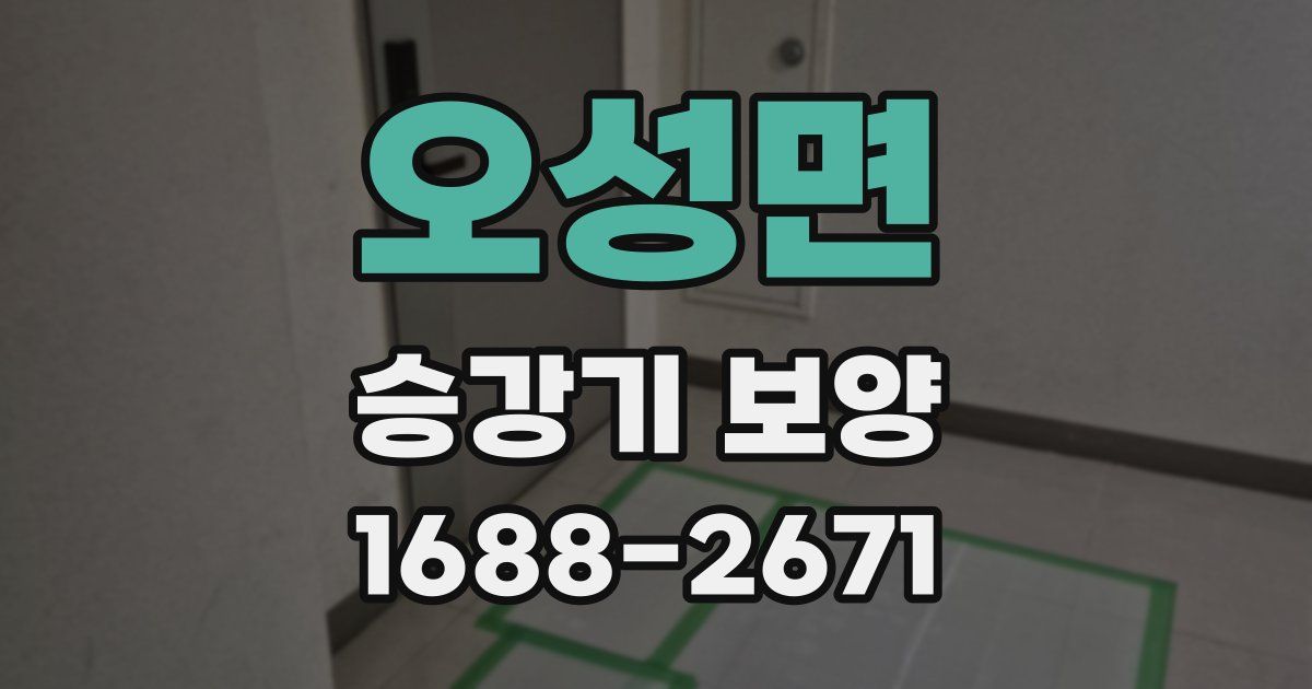 오성면 승강기 보양