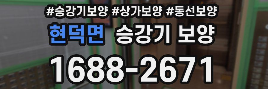 현덕면 승강기 보양