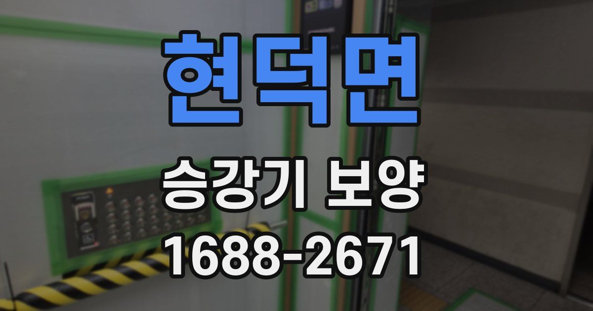 현덕면 승강기 보양