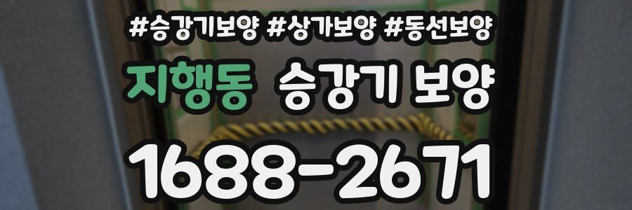 지행동 승강기 보양
