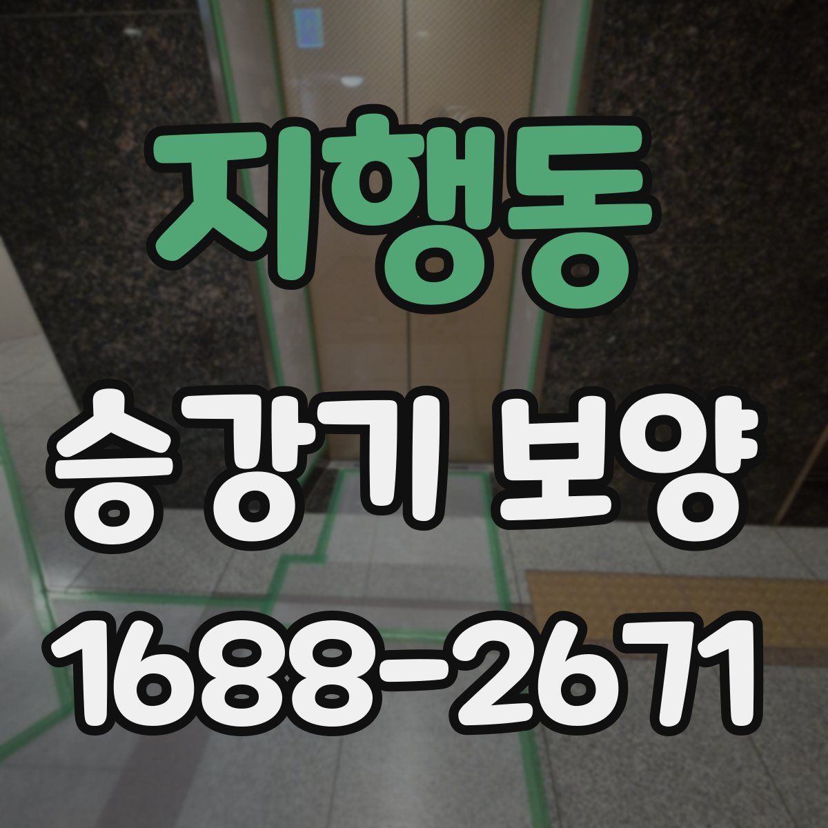 지행동 승강기 보양