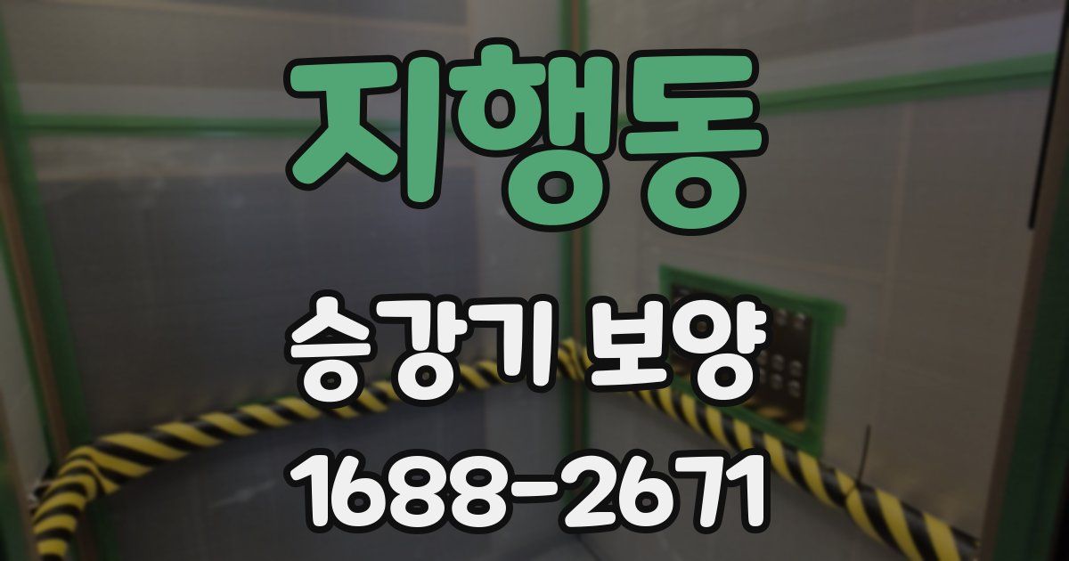 지행동 승강기 보양