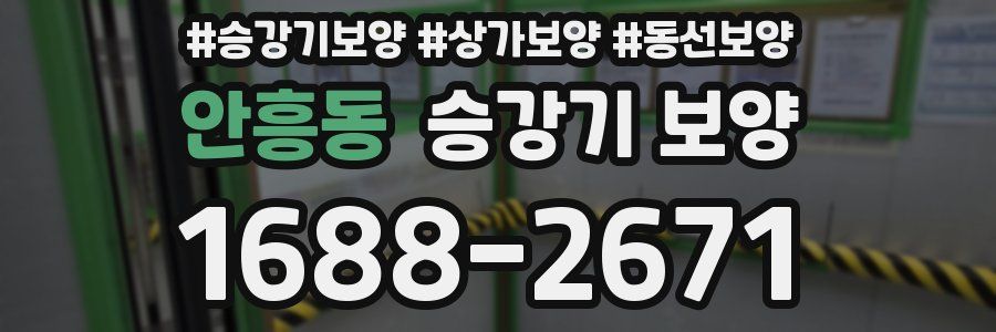 안흥동 승강기 보양