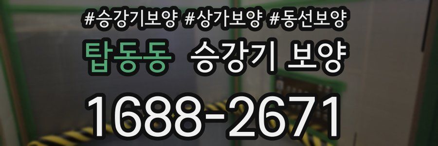 탑동동 승강기 보양