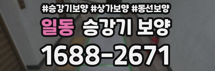 일동 승강기 보양