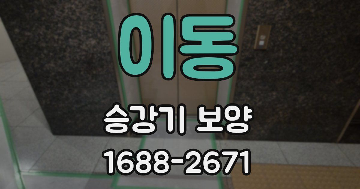 이동 승강기 보양