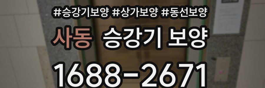 사동 승강기 보양