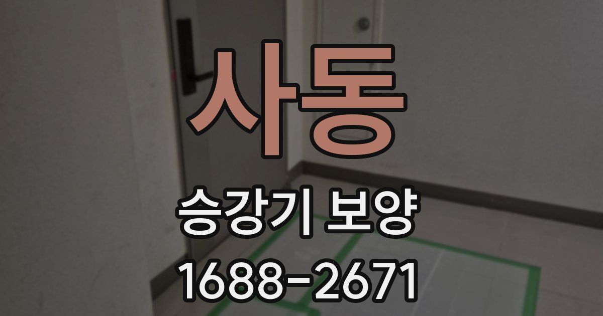 사동 승강기 보양
