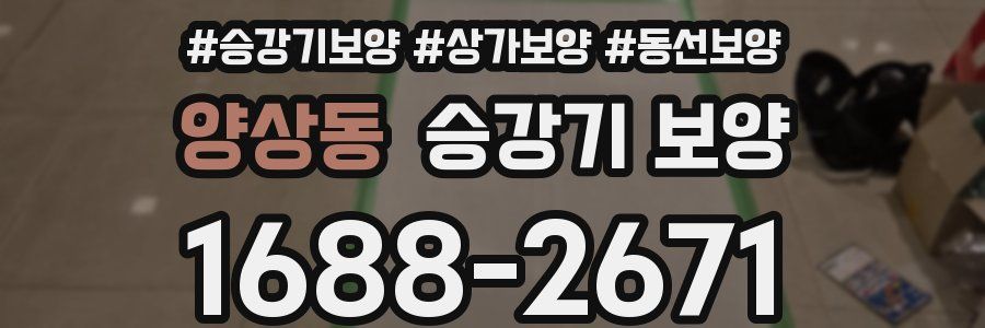 양상동 승강기 보양