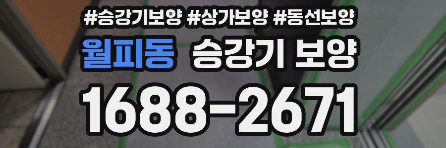 월피동 승강기 보양