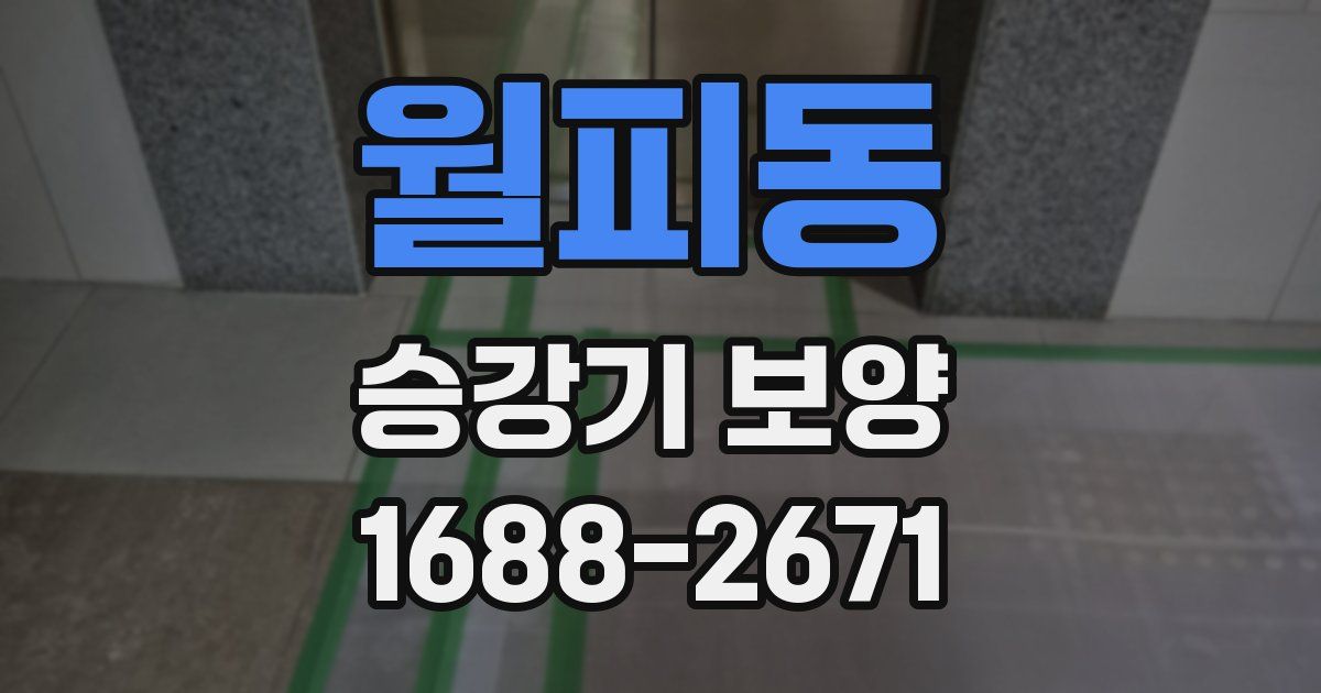 월피동 승강기 보양