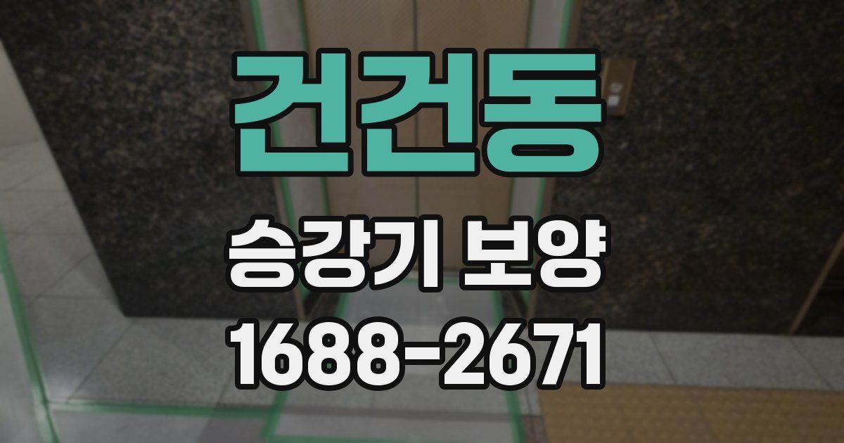 건건동 승강기 보양