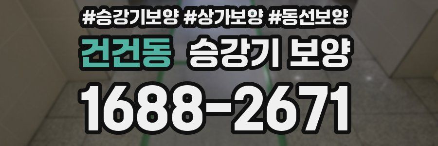 건건동 승강기 보양