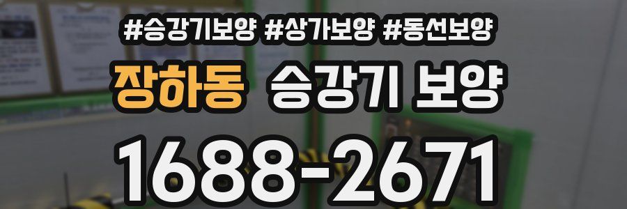 장하동 승강기 보양