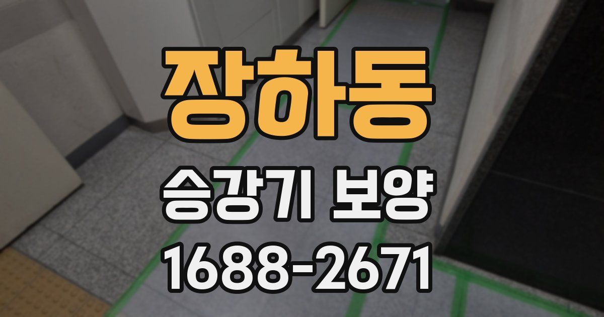 장하동 승강기 보양