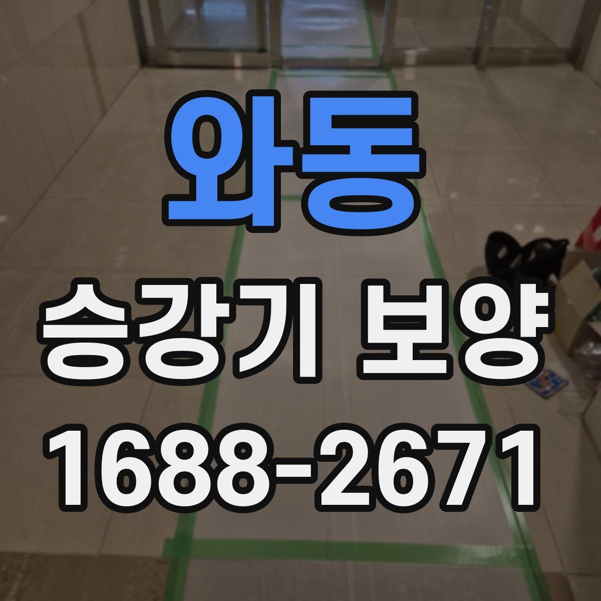 와동 승강기 보양