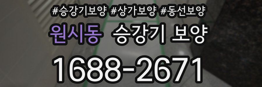 원시동 승강기 보양