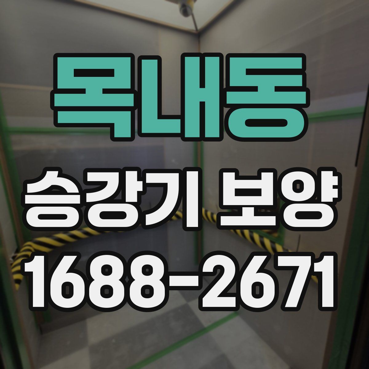 목내동 승강기 보양