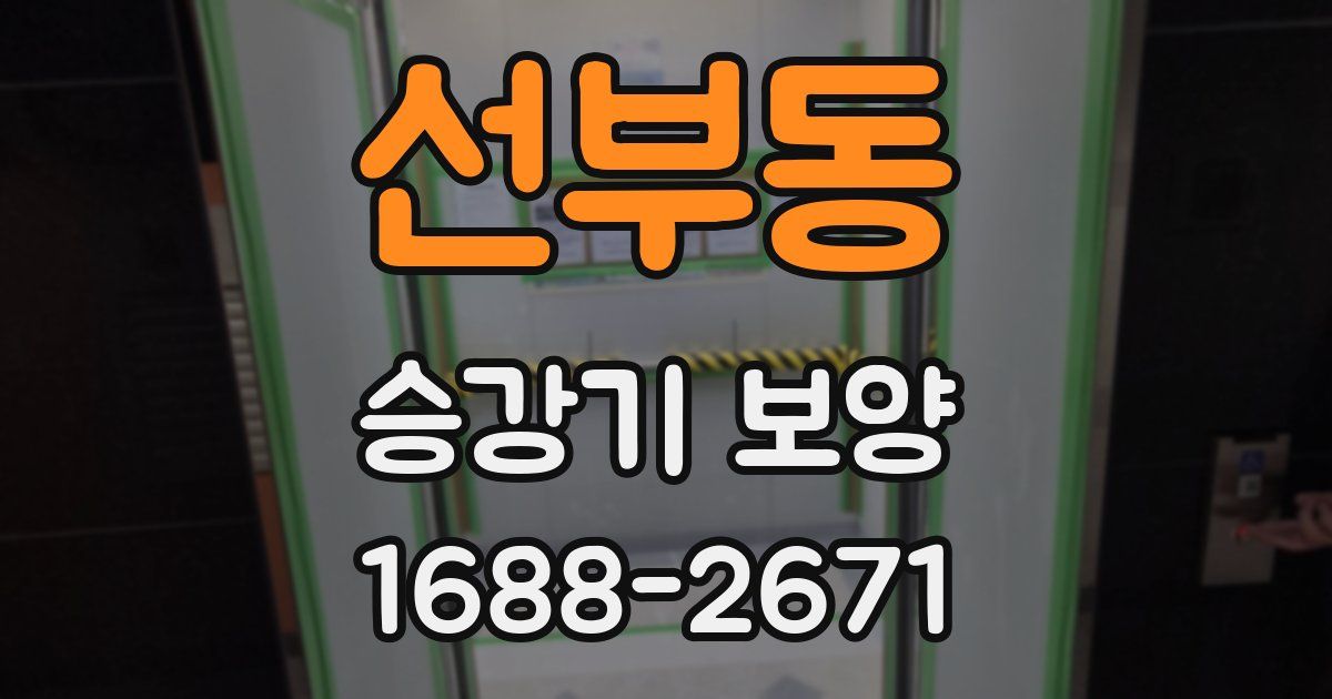 선부동 승강기 보양