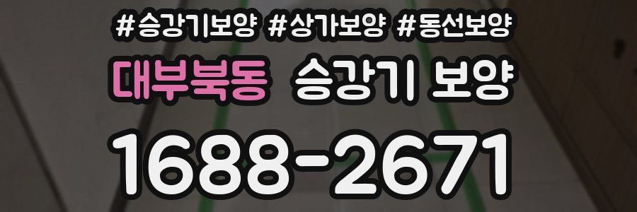 대부북동 승강기 보양