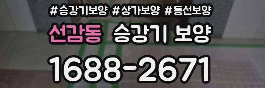 선감동 승강기 보양