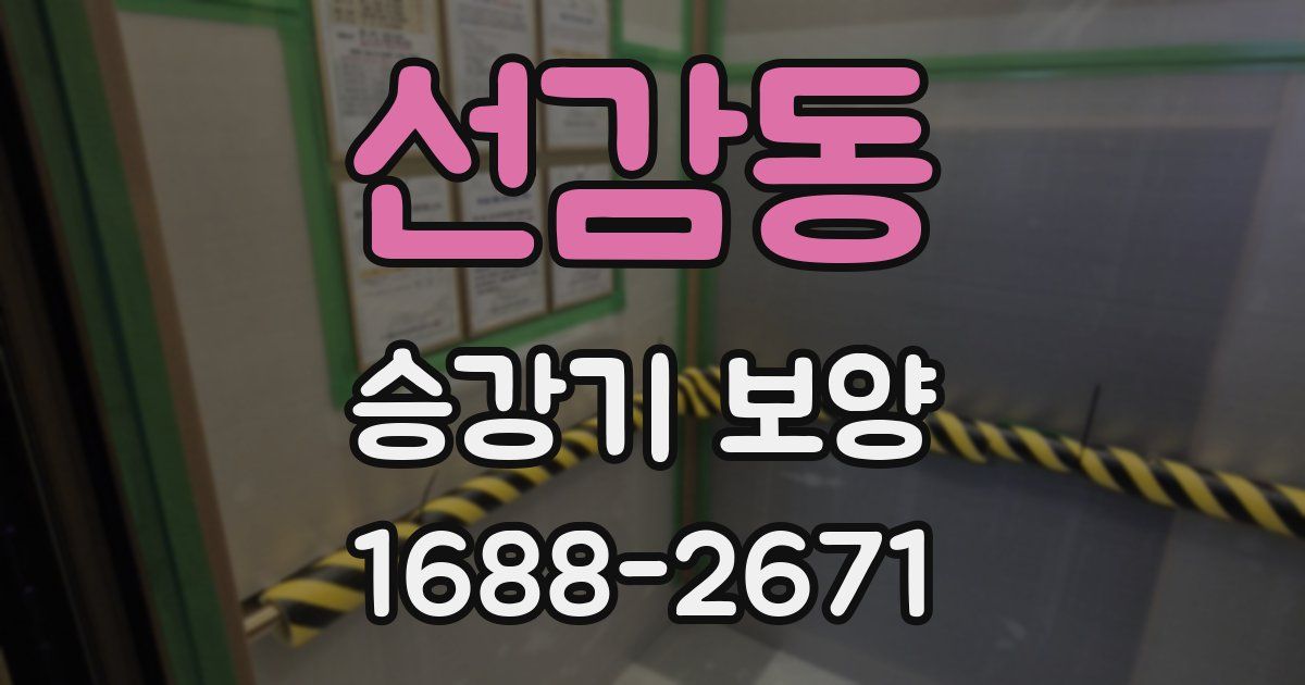 선감동 승강기 보양