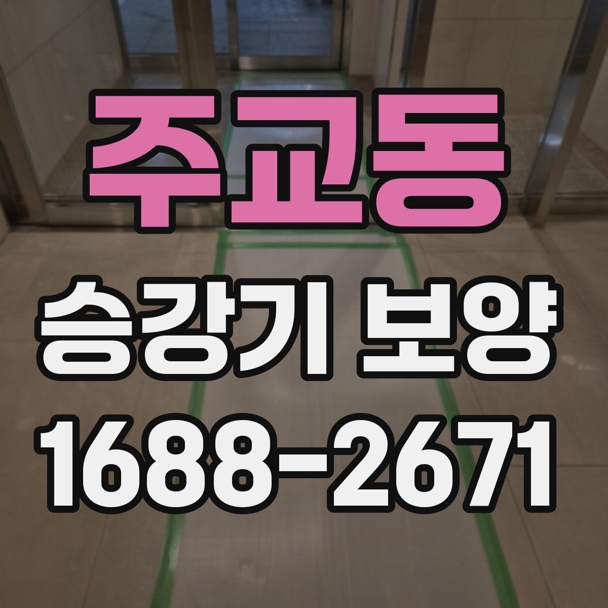 주교동 승강기 보양 품질 확인을 위한 현장 점검