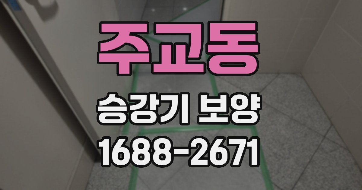 주교동 승강기 보양