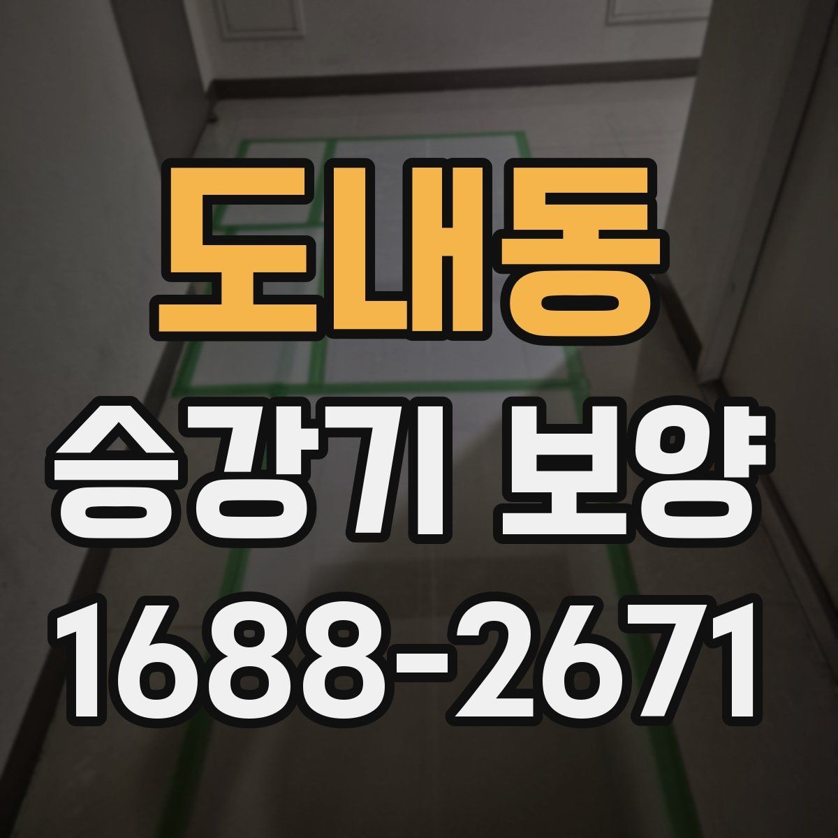 도내동 승강기 보양 현장에서 확인하는 안전과 품질
