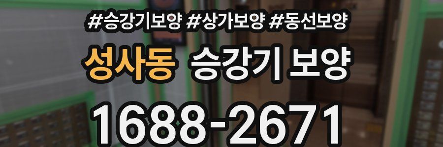 성사동 승강기 보양