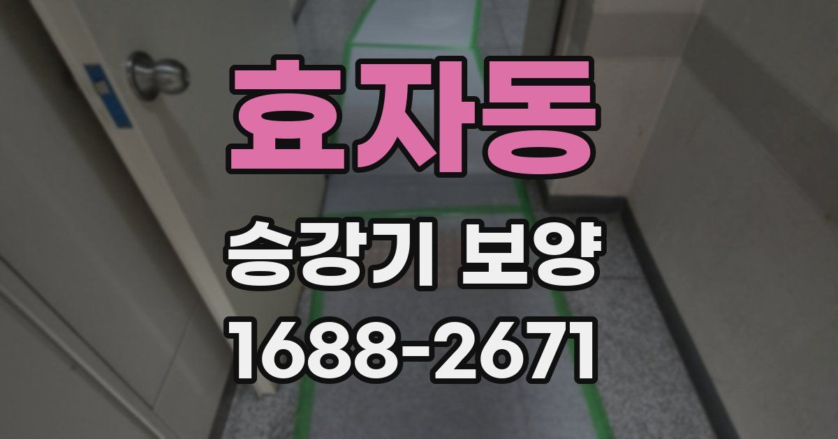 효자동 승강기 보양