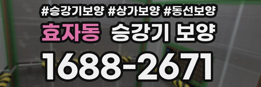 효자동 승강기 보양