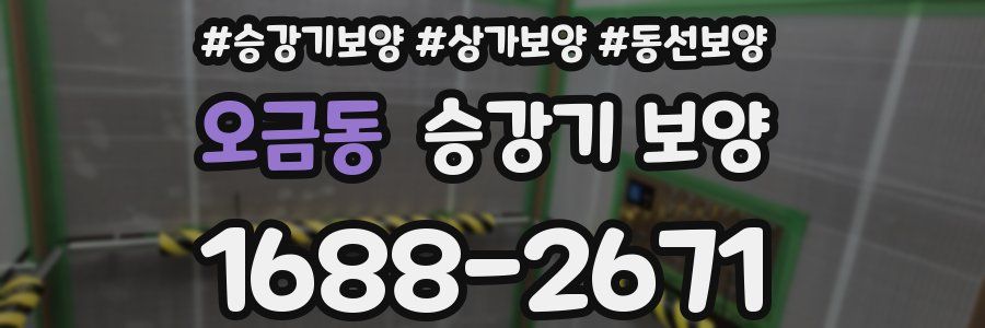 오금동 승강기 보양
