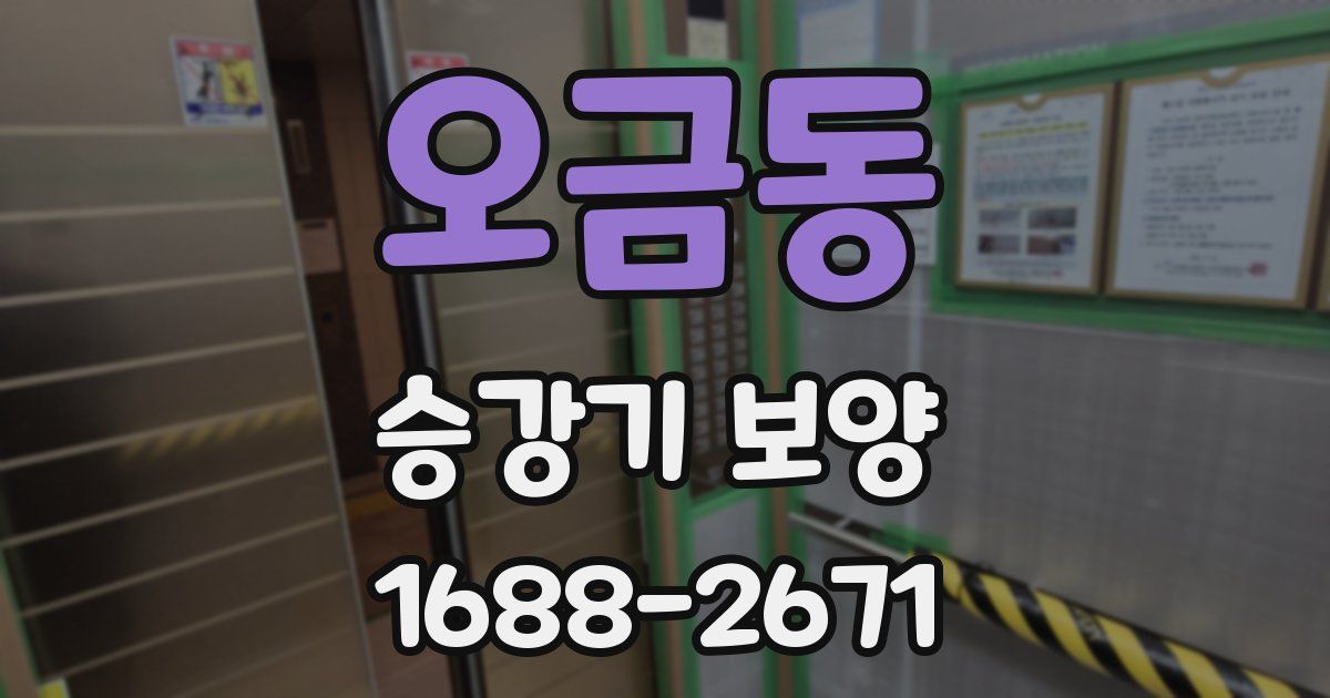 오금동 승강기 보양