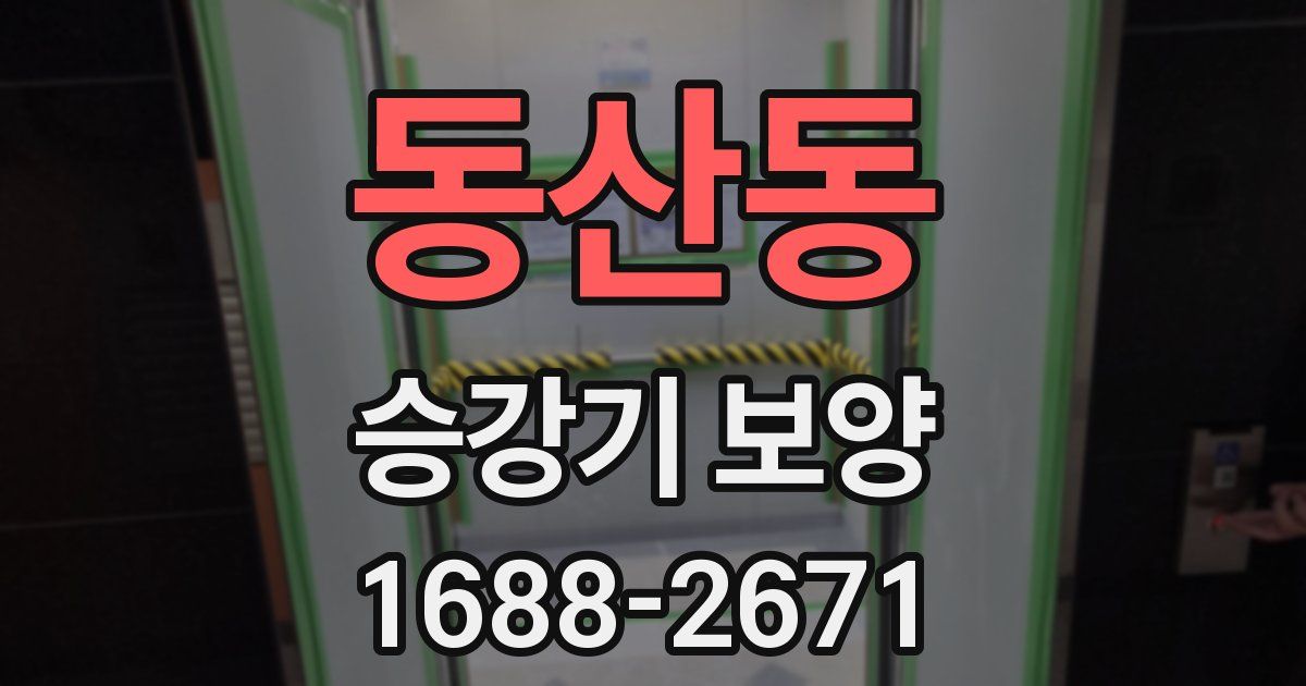 동산동 승강기 보양