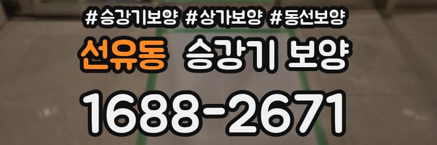 선유동 승강기 보양
