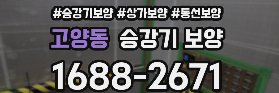 고양동 승강기 보양