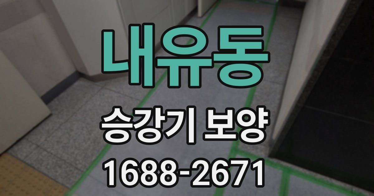 내유동 승강기 보양