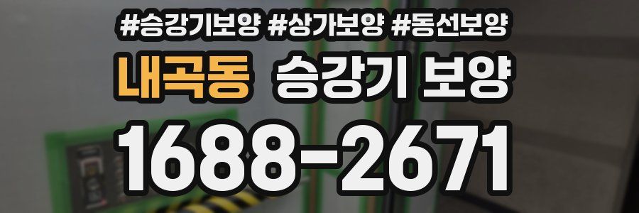 내곡동 승강기 보양
