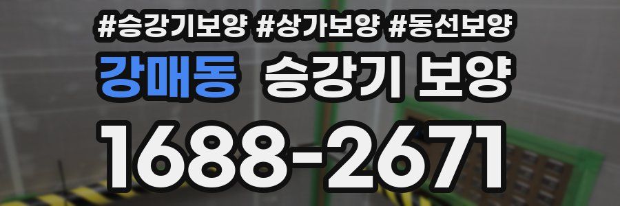 강매동 승강기 보양