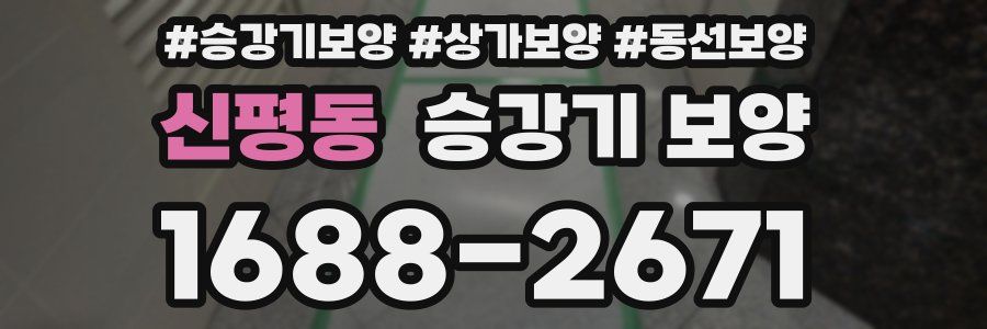 신평동 승강기 보양
