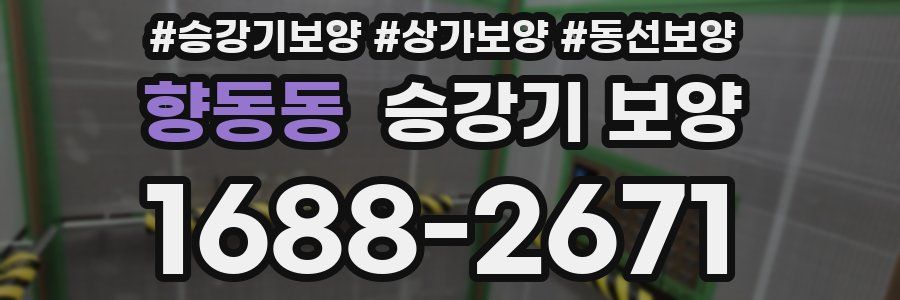 향동동 승강기 보양