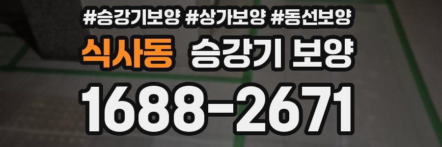 식사동 승강기 보양