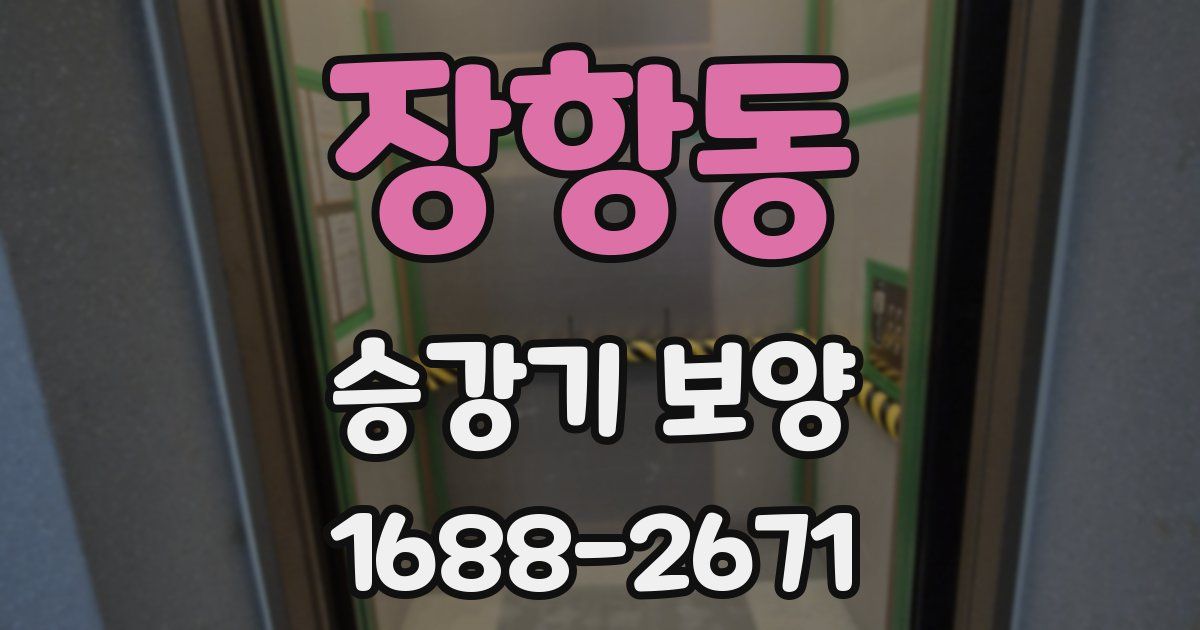 장항동 승강기 보양